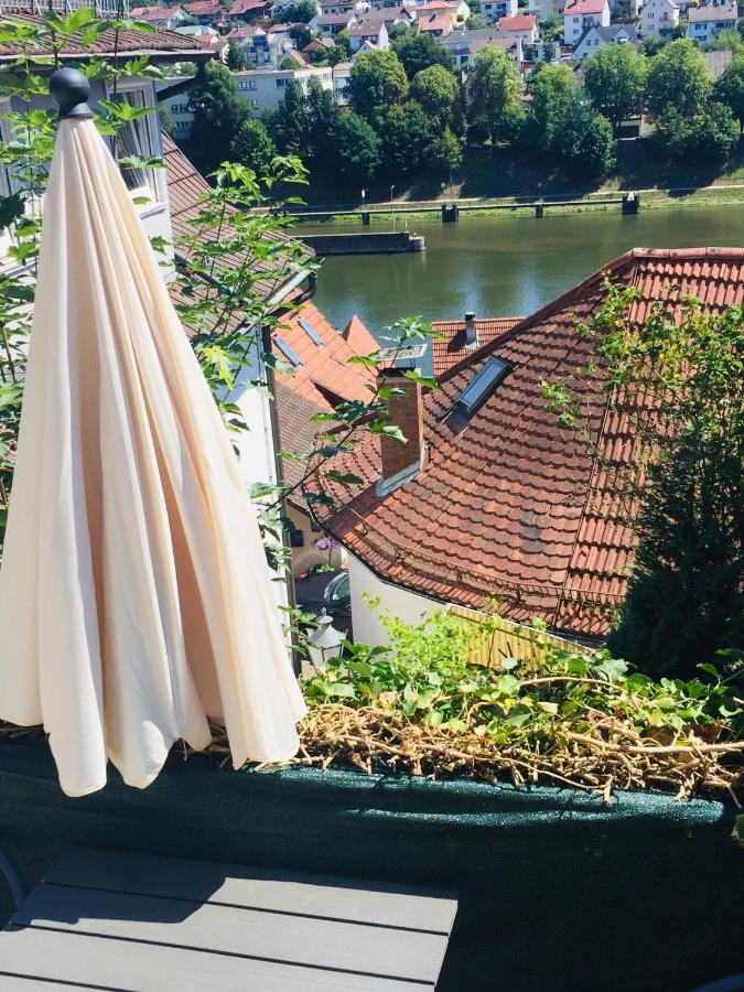 Natur Und Neckarblick Bei Heidelberg 希尔施霍恩 外观 照片