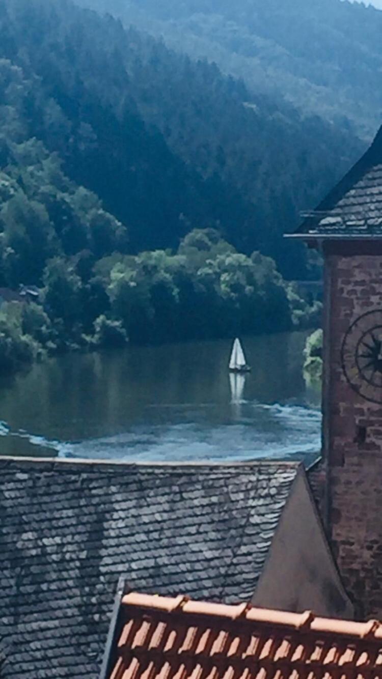 Natur Und Neckarblick Bei Heidelberg 希尔施霍恩 外观 照片