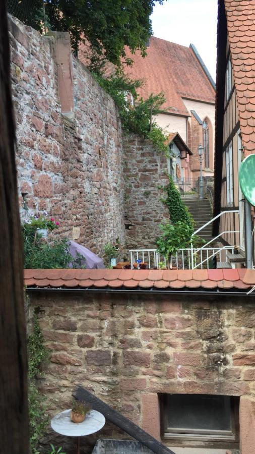 Natur Und Neckarblick Bei Heidelberg 希尔施霍恩 外观 照片