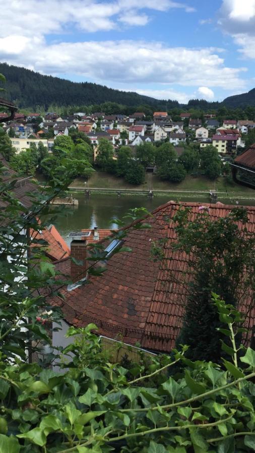 Natur Und Neckarblick Bei Heidelberg 希尔施霍恩 外观 照片