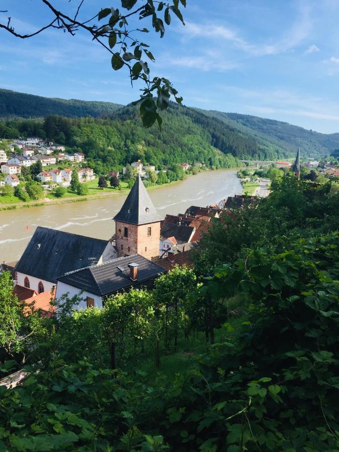 Natur Und Neckarblick Bei Heidelberg 希尔施霍恩 外观 照片