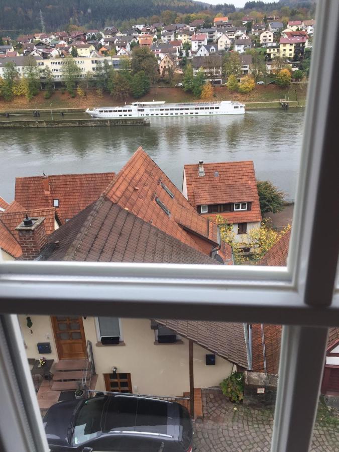 Natur Und Neckarblick Bei Heidelberg 希尔施霍恩 外观 照片