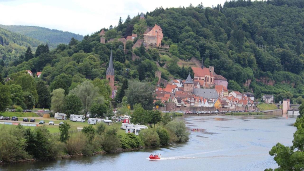 Natur Und Neckarblick Bei Heidelberg 希尔施霍恩 外观 照片