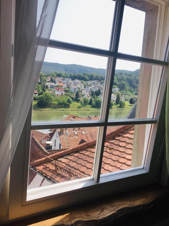 Natur Und Neckarblick Bei Heidelberg 希尔施霍恩 外观 照片