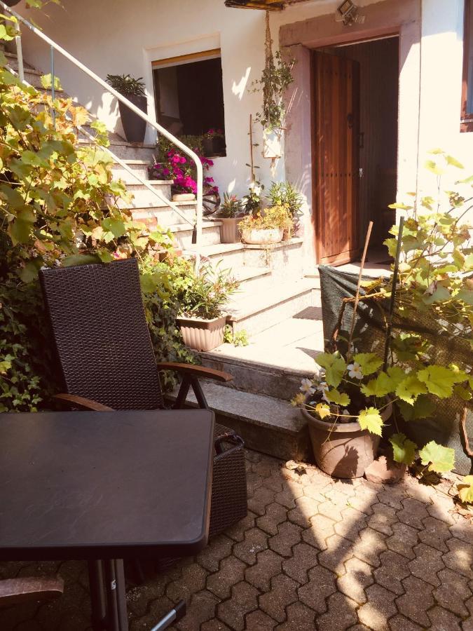 Natur Und Neckarblick Bei Heidelberg 希尔施霍恩 外观 照片