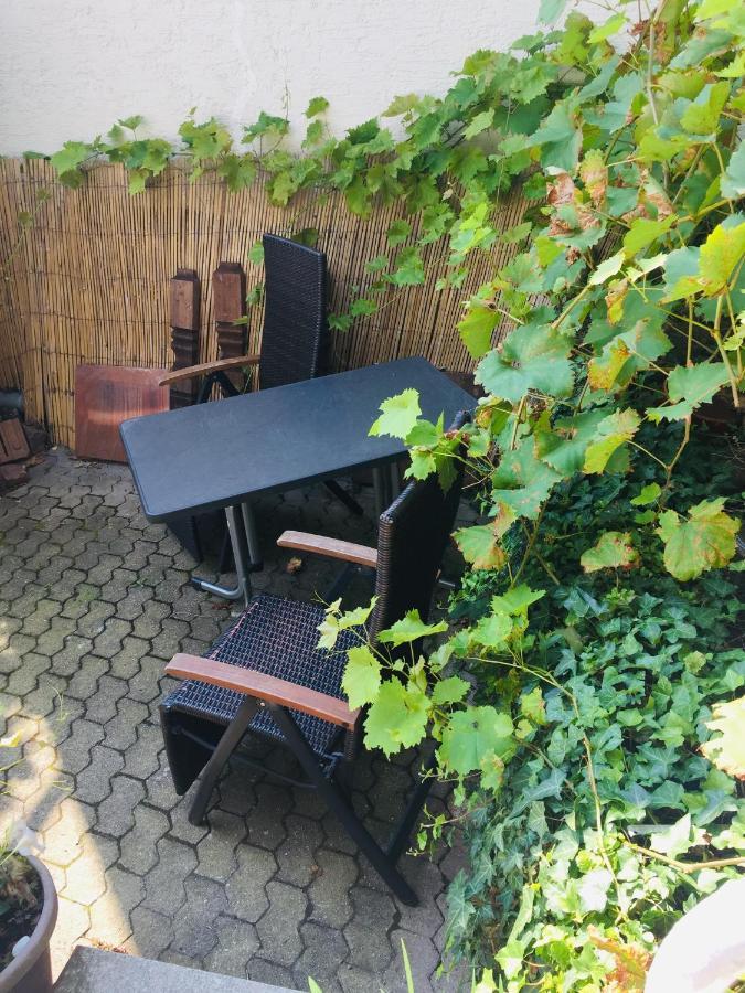 Natur Und Neckarblick Bei Heidelberg 希尔施霍恩 外观 照片