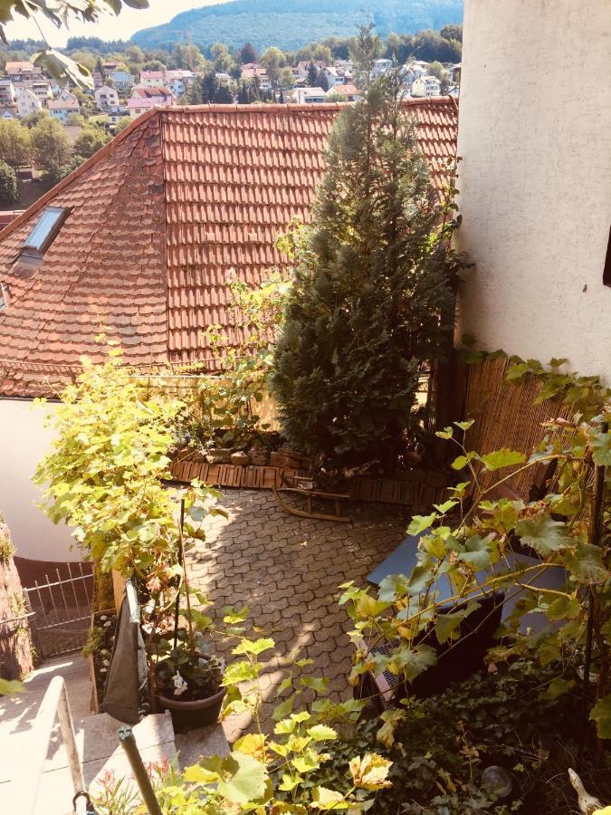 Natur Und Neckarblick Bei Heidelberg 希尔施霍恩 外观 照片