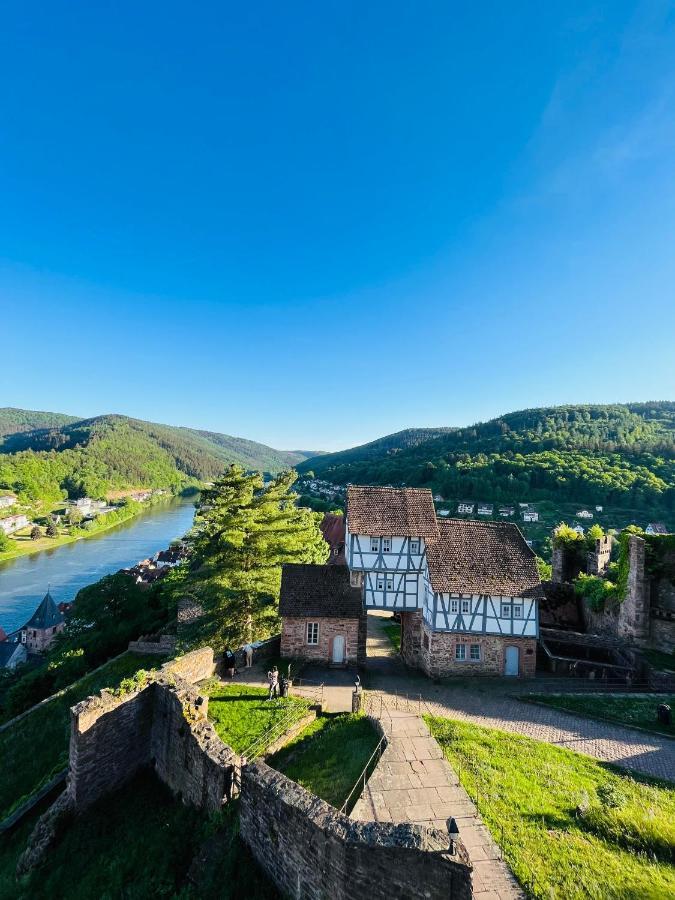 Natur Und Neckarblick Bei Heidelberg 希尔施霍恩 外观 照片
