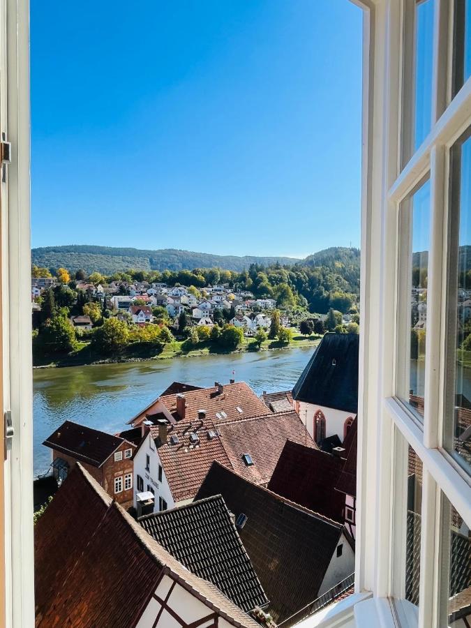 Natur Und Neckarblick Bei Heidelberg 希尔施霍恩 外观 照片
