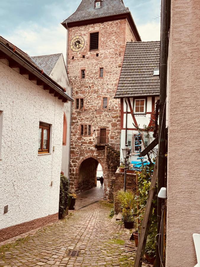 Natur Und Neckarblick Bei Heidelberg 希尔施霍恩 外观 照片