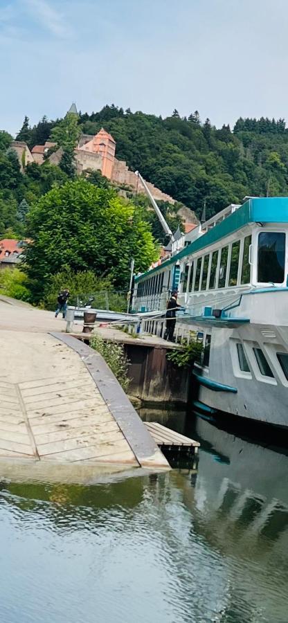 Natur Und Neckarblick Bei Heidelberg 希尔施霍恩 外观 照片