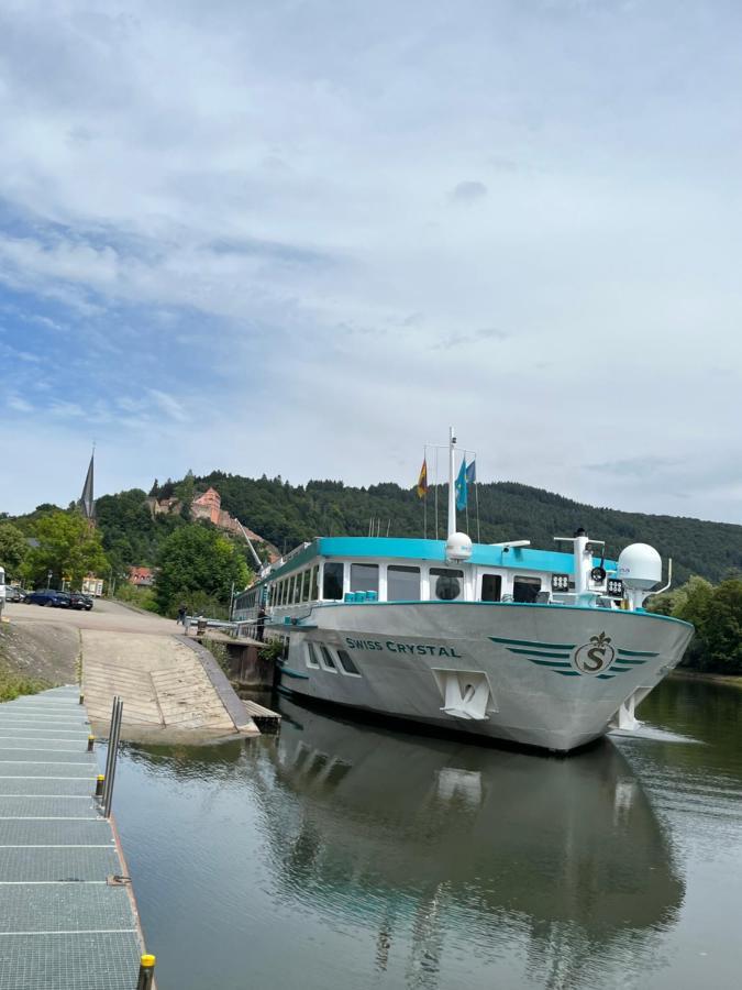 Natur Und Neckarblick Bei Heidelberg 希尔施霍恩 外观 照片