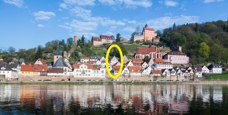 Natur Und Neckarblick Bei Heidelberg 希尔施霍恩 外观 照片