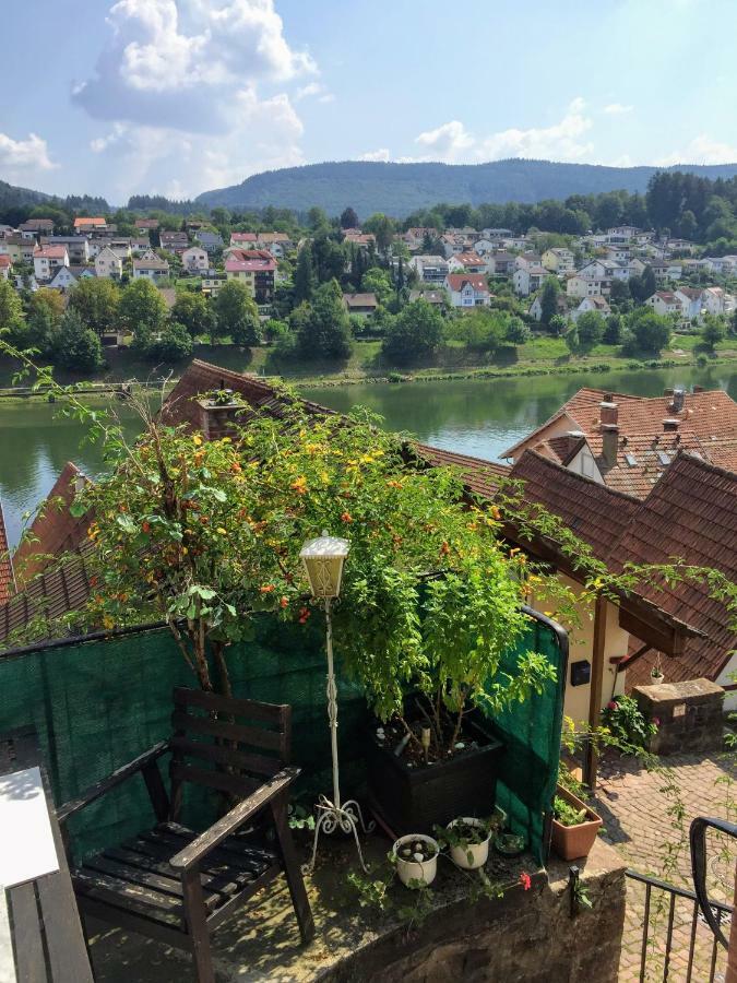 Natur Und Neckarblick Bei Heidelberg 希尔施霍恩 外观 照片
