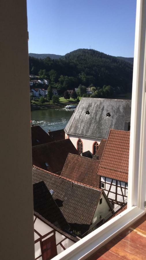 Natur Und Neckarblick Bei Heidelberg 希尔施霍恩 外观 照片