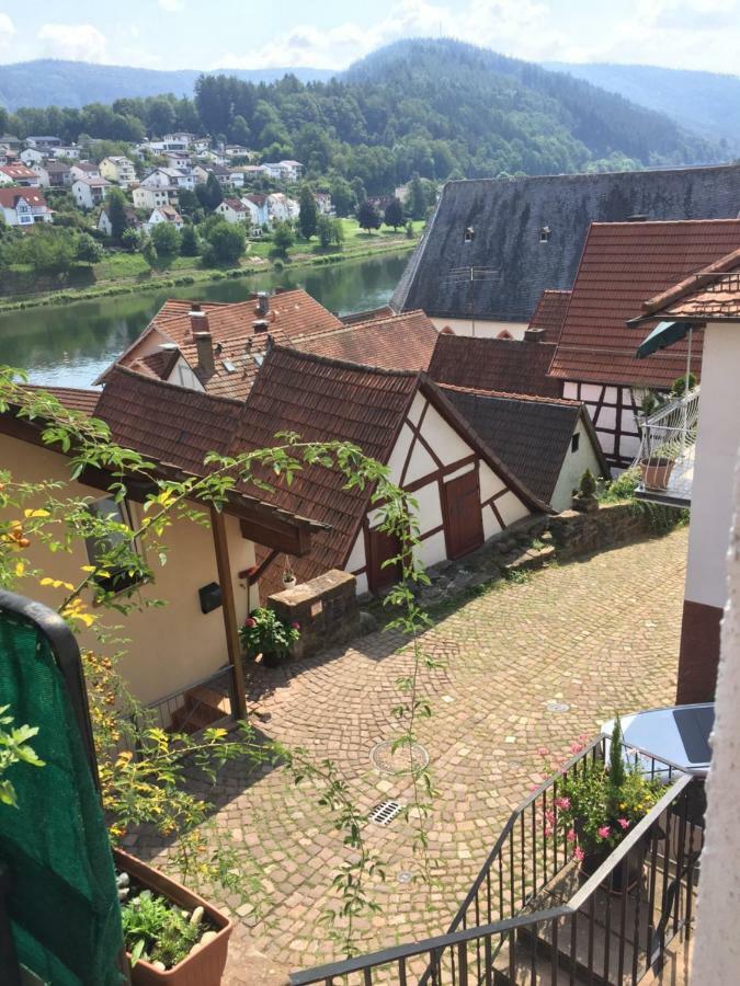Natur Und Neckarblick Bei Heidelberg 希尔施霍恩 外观 照片