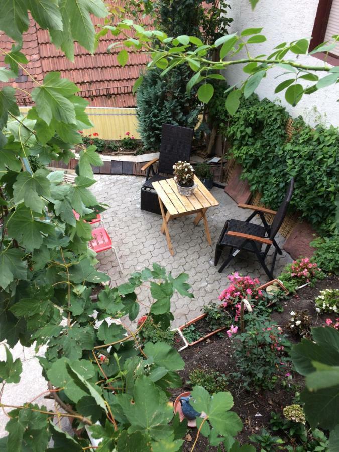 Natur Und Neckarblick Bei Heidelberg 希尔施霍恩 外观 照片